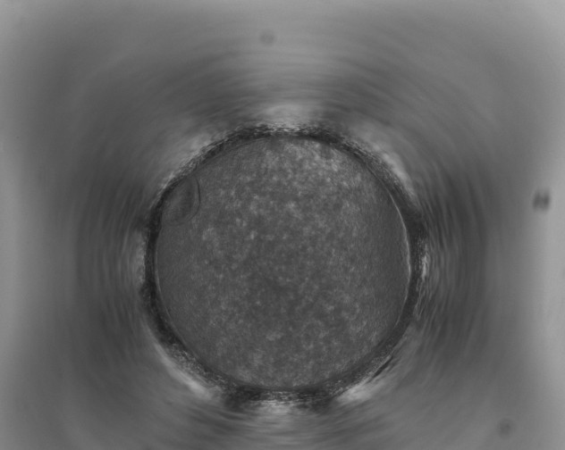 X0000094340496200711091432