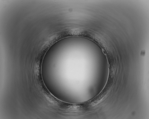 X0000094340497200711091432