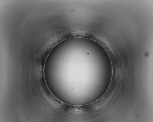 X0000094340498200711091432
