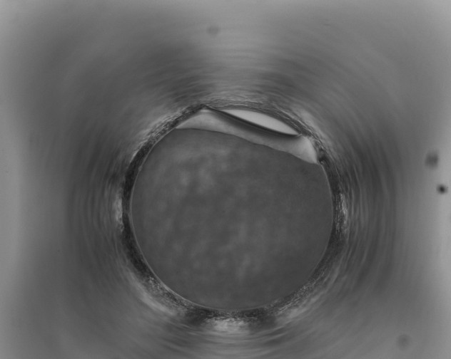 X0000094340500200711091432
