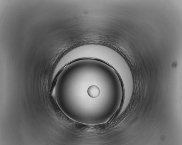 X0000094340504200711091432