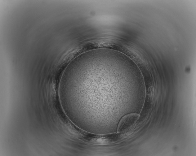X0000094340506200711091432