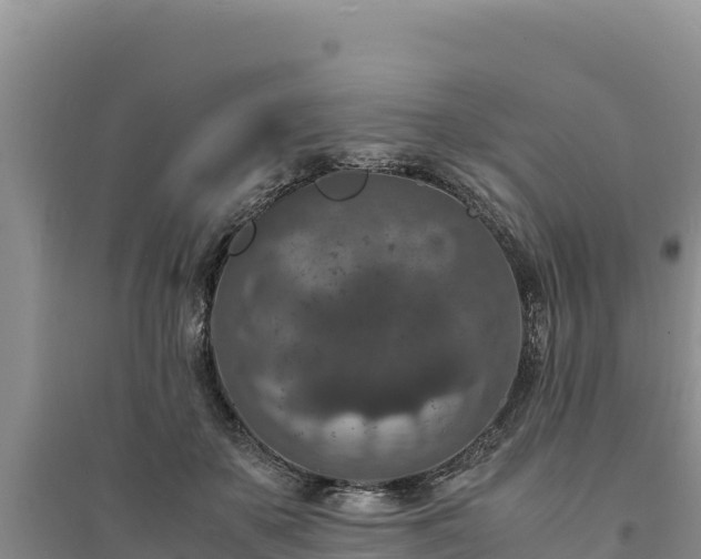 X0000094340507200711091432