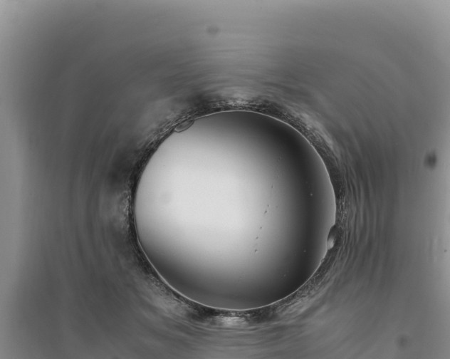 X0000094340509200711091432