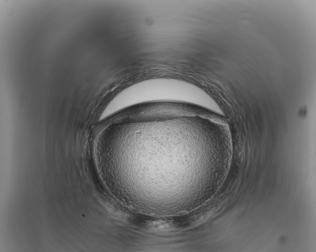 X0000094340511200711091432