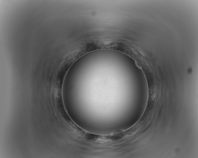 X0000094340515200711091432