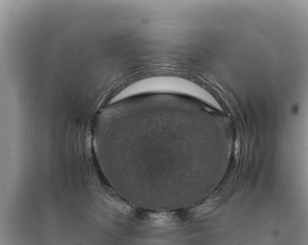 X0000094340516200711091432