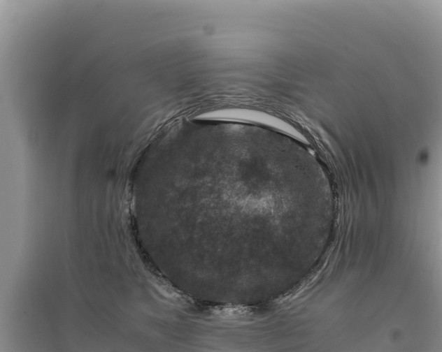X0000094340517200711091432