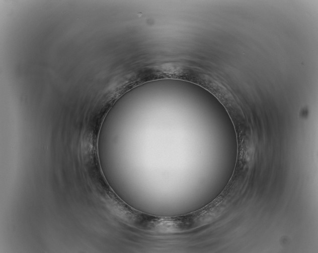 X0000094340518200711091432