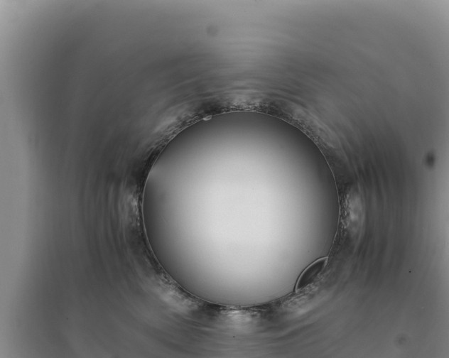 X0000094340522200711091432