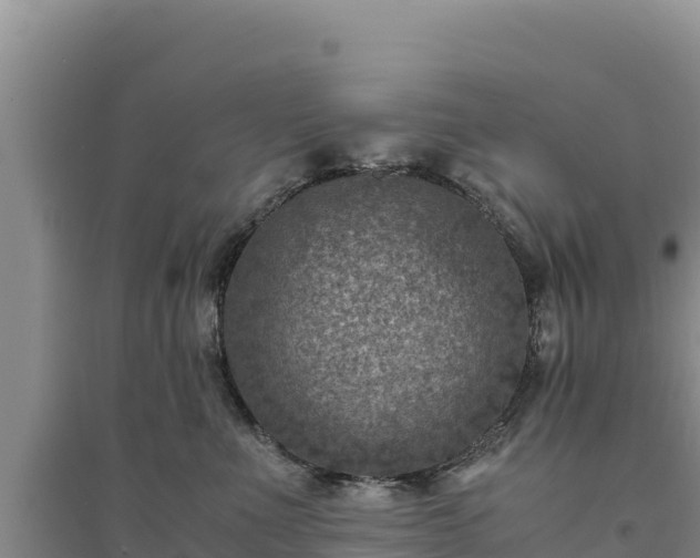X0000094340523200711091432