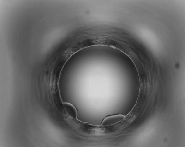 X0000094340525200711091432