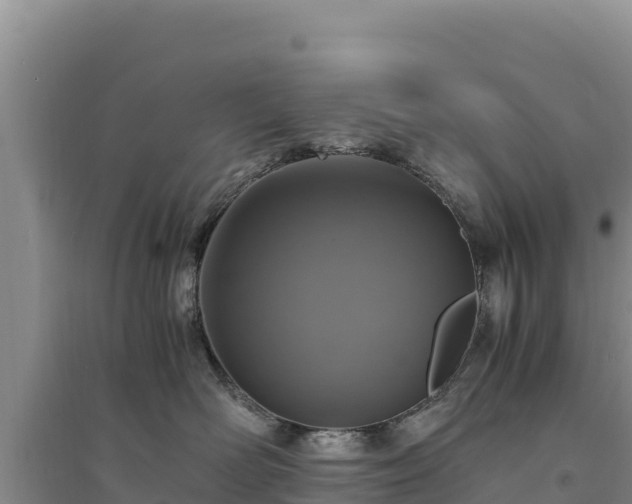 X0000094340526200711091432