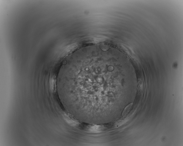 X0000094340527200711091432