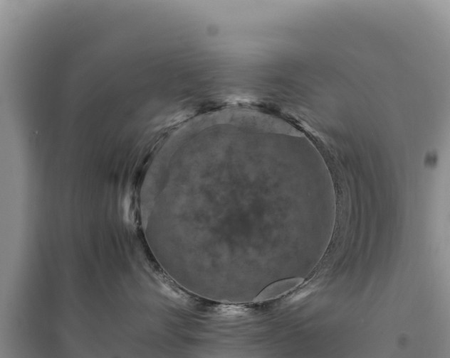 X0000094340528200711091432
