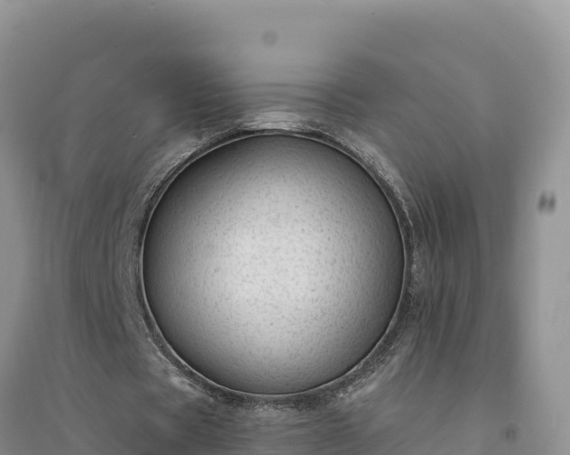 X0000094340529200711091431