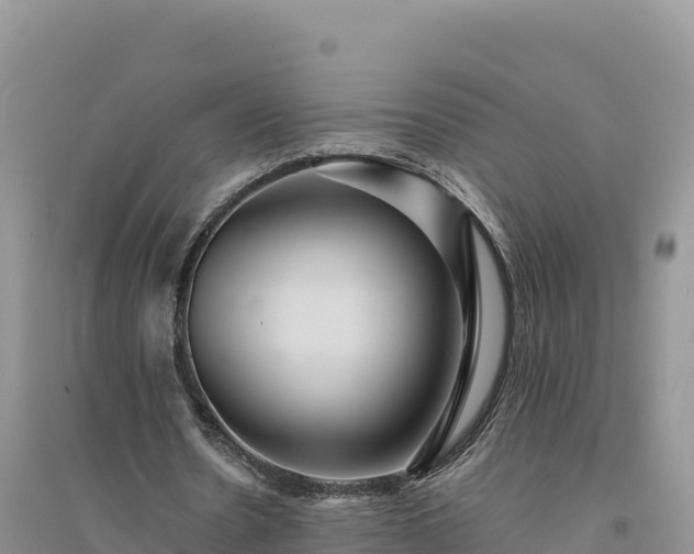 X0000094340530200711091431