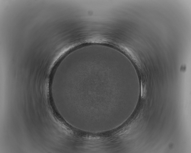 X0000094340531200711091431