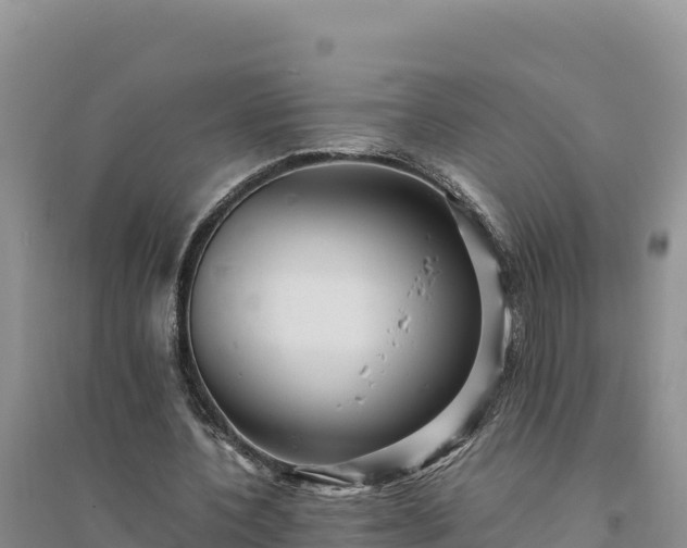 X0000094340532200711091431