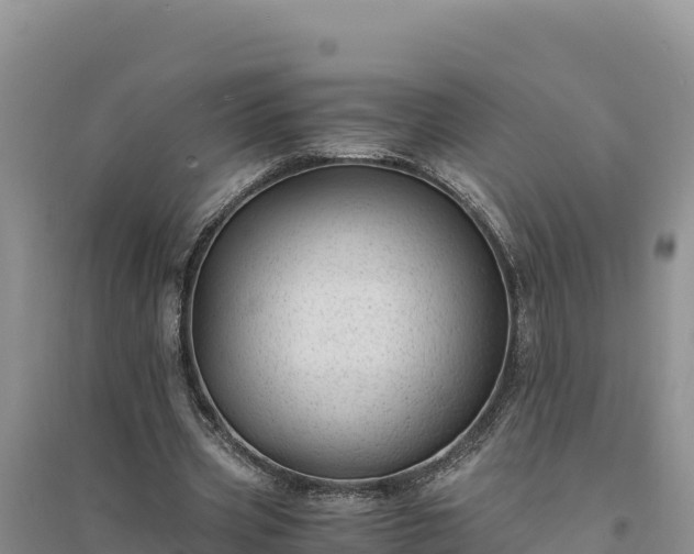 X0000094340533200711091431