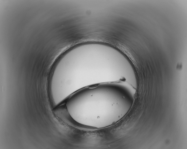 X0000094340534200711091431