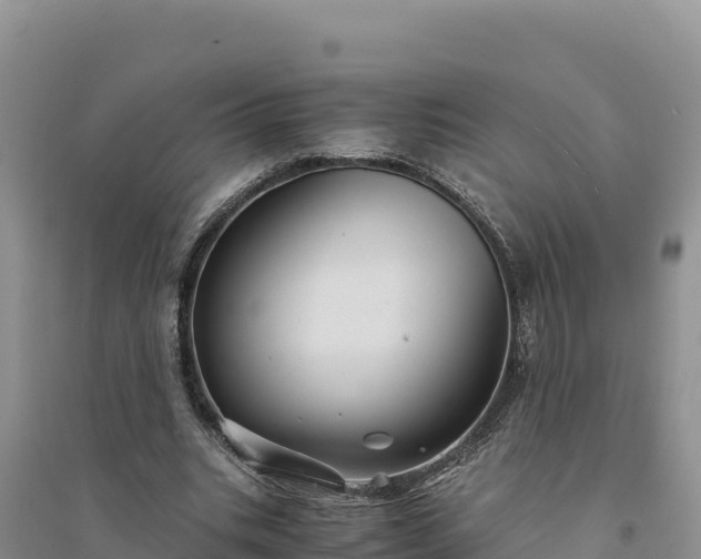 X0000094340535200711091431