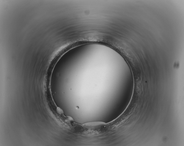 X0000094340536200711091431