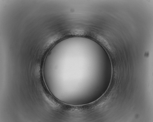 X0000094340538200711091431