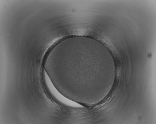 X0000094340540200711091431