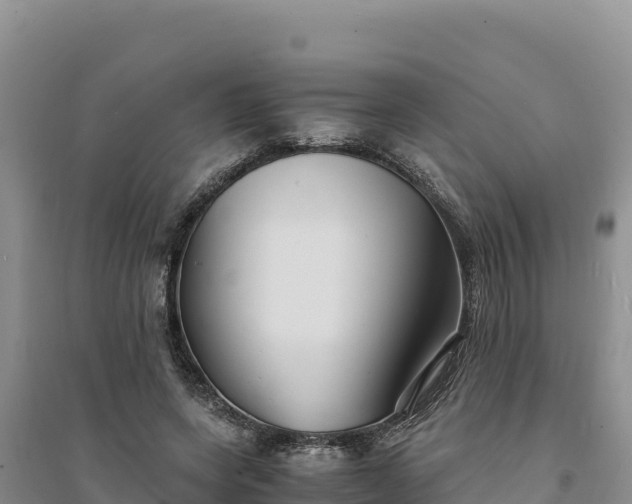 X0000094340543200711091431