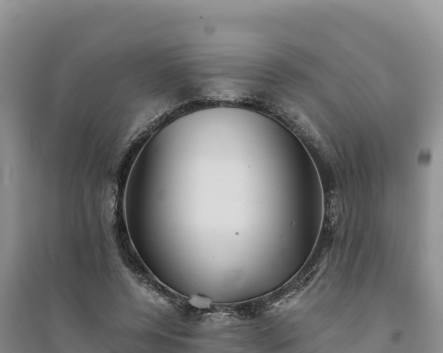 X0000094340544200711091431