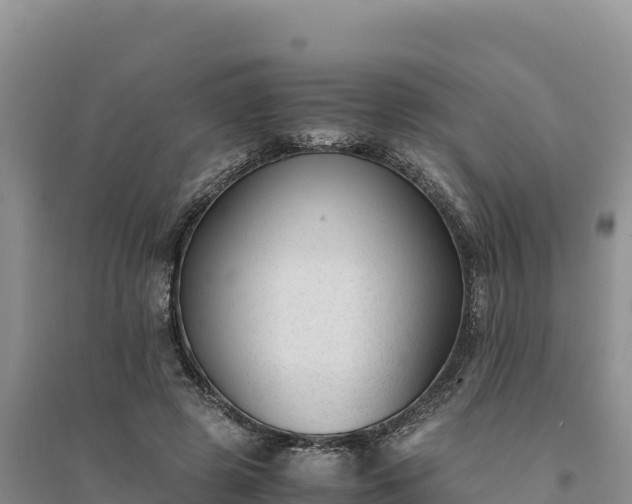 X0000094340545200711091431