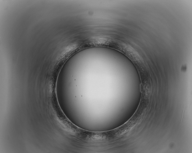 X0000094340546200711091431