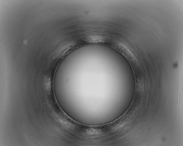 X0000094340549200711091431