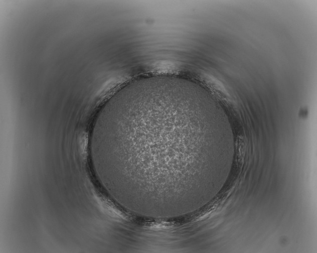X0000094340550200711091431