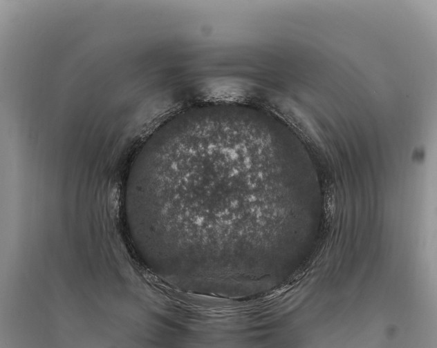 X0000094340551200711091431