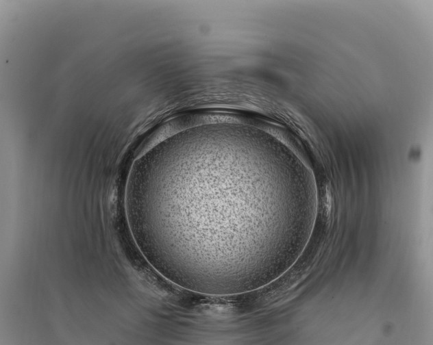 X0000094340552200711091431