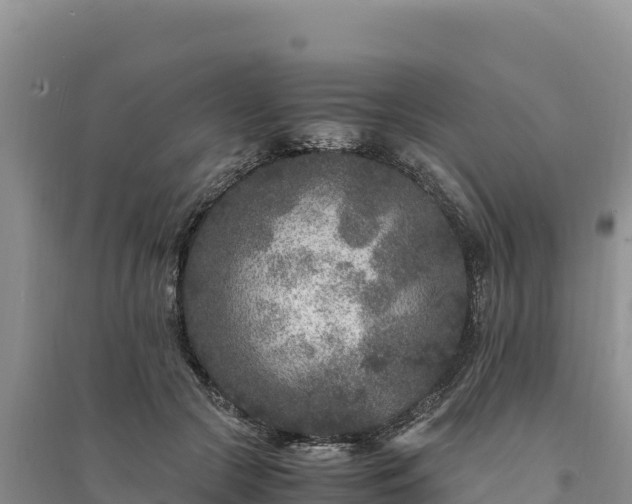 X0000094340553200711091431