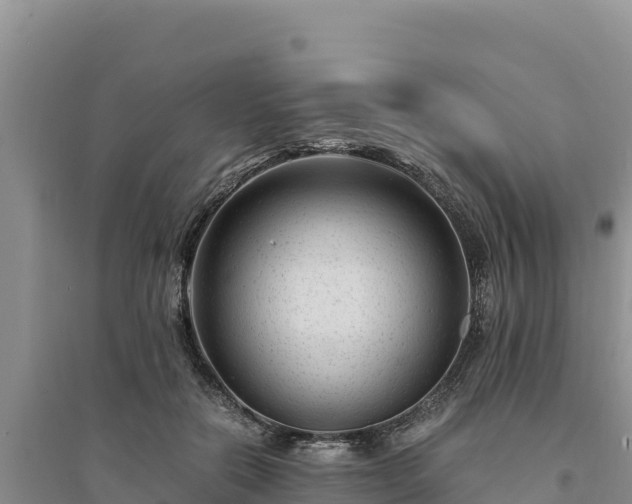 X0000094340554200711091431