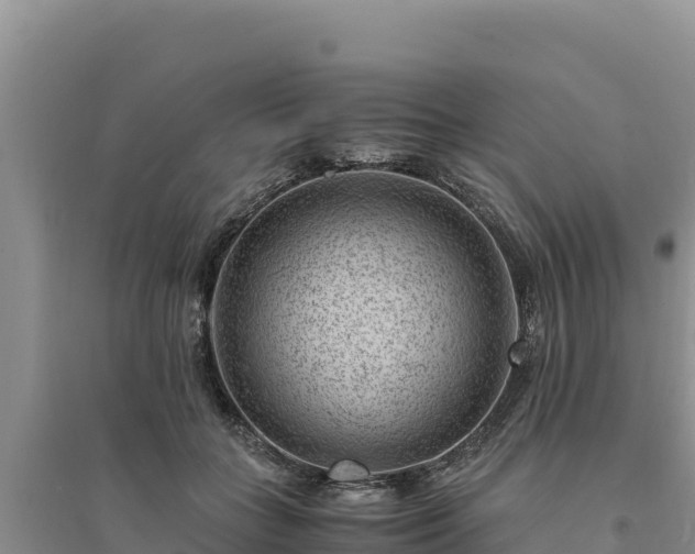 X0000094340555200711091431