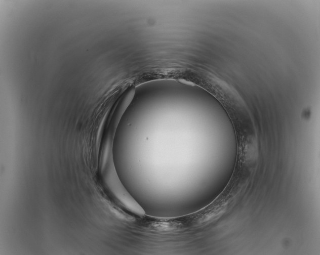 X0000094340558200711091431