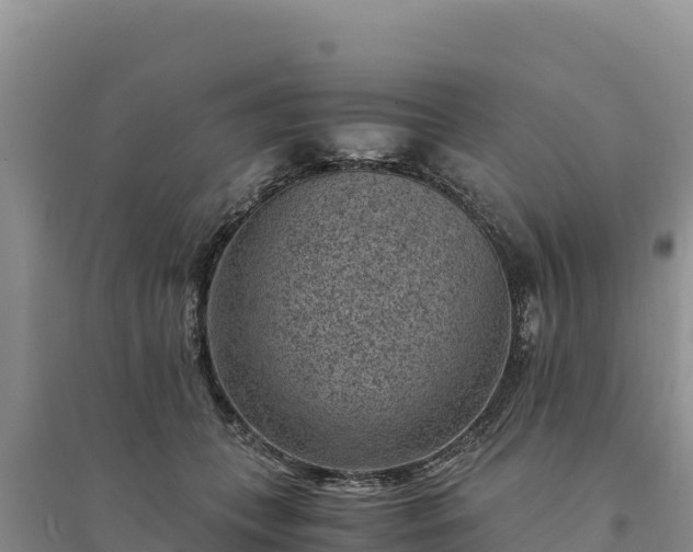 X0000094340559200711091431