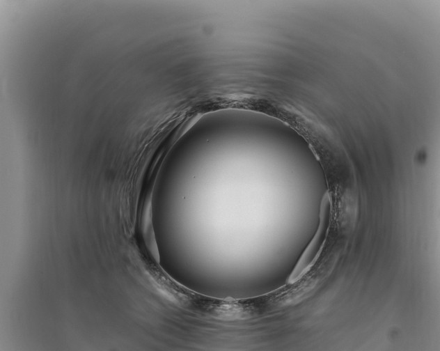 X0000094340562200711091431