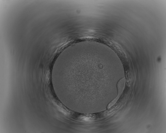 X0000094340563200711091431