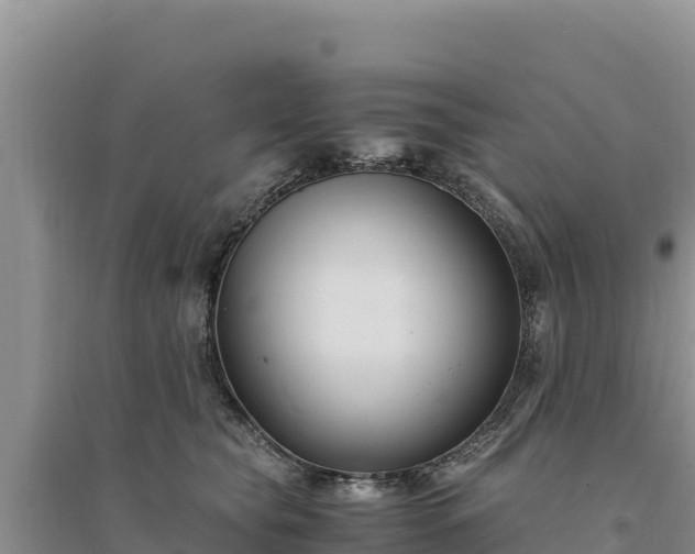 X0000094340565200711091431