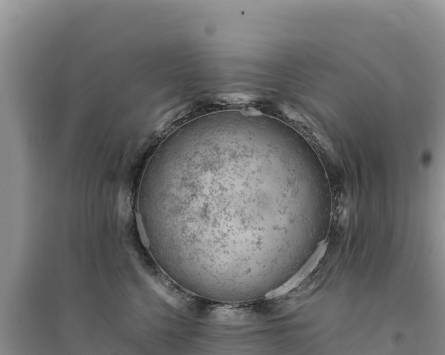 X0000094340568200711091431