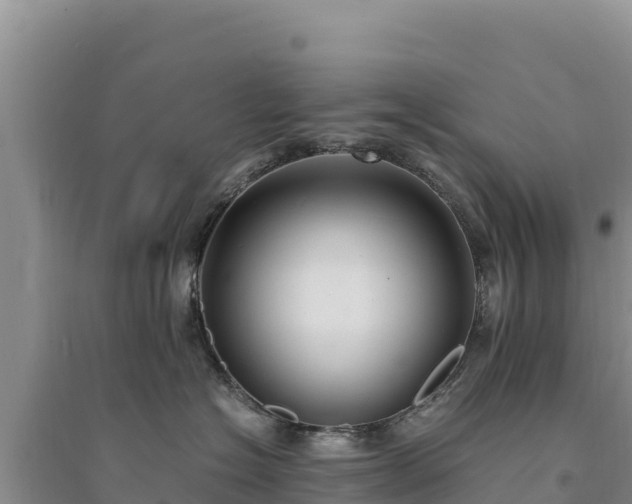 X0000094340574200711091432