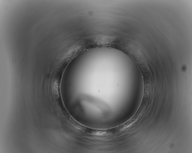 X0000094340575200711091432