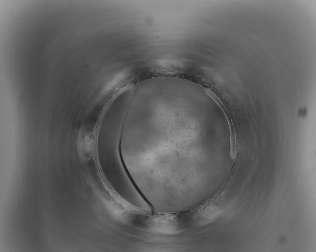 X0000094340576200711091432