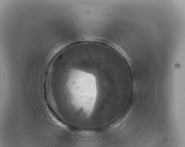 X0000094340577200711091431